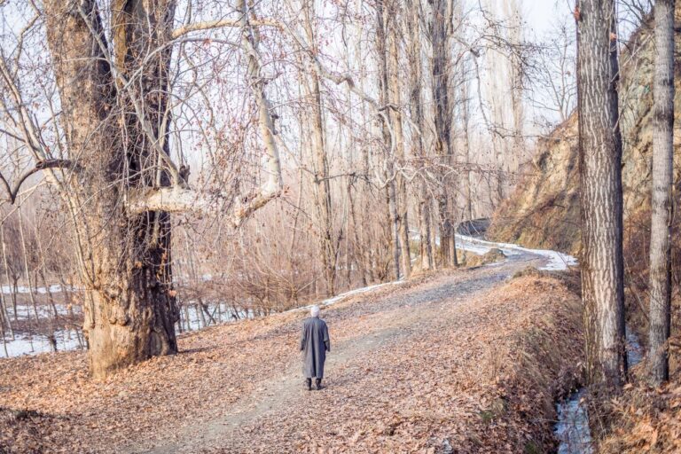A person walks alone on a leaf-covered path in a winter park in Srinagar, surrounded by bare trees.