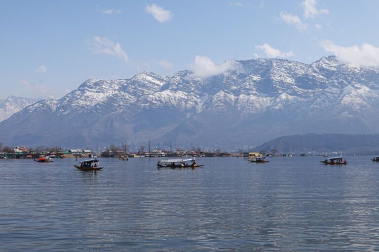 Shikaras on Dal Lake with the majestic Himalayas in the background.
