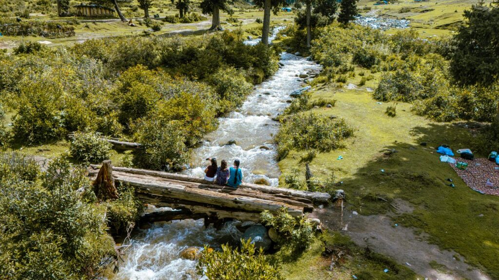 Friends enjoying a peaceful moment on a wooden bridge over a stream in Kashmir's lush landscape.