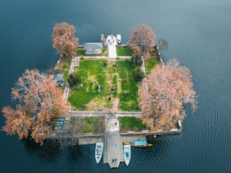 A scenic aerial view of Char Chinar island on Dal Lake in autumn, featuring vibrant foliage and tranquil waters.