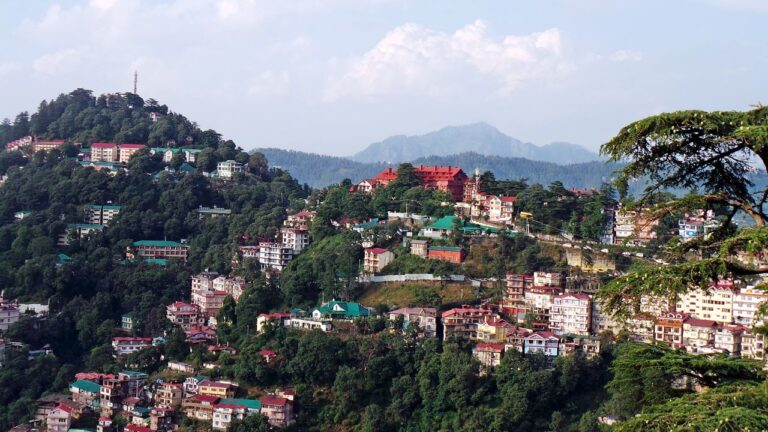 Hotels in Katra
